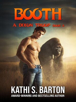cover image of Booth